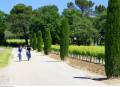 Sentier botanique d