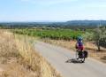 EV17 - ViaRhôna étape 18 - Caderousse > Avignon ©France Vélo Tourisme