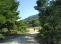 VTT n°39 - Colline Pied Caud ©Eric Garnier