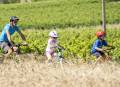 VTT n°27 - Petit tour de La Tour ©Damien Rosso