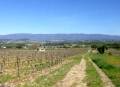 VTT n°28 - Escapade dans les vignes ©VPA