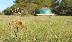 Camping Roumavagi