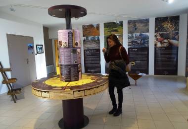 Musée de la truffe du Ventoux
