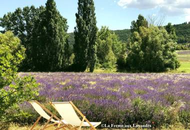La Ferme aux Lavandes et son Jardin ...
