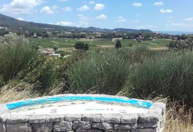 Circuit pédestre - Parcours du Vignoble ...