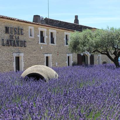 Luberon Lavender Museum
