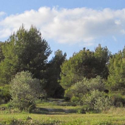 Camping à la Ferme Roumavagi