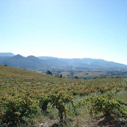 32 - The landscapes of the Côtes du Rhône