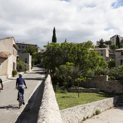 19 - The Terraced Fields of Mont Ventoux