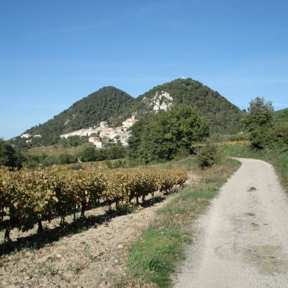 29 - Die Landschaften zwischen Vaison la Romaine und Mont Ventoux