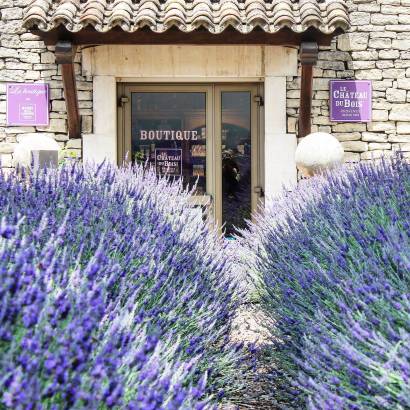 Le Château du Bois Provence - Producteur et distillateur de lavande fine