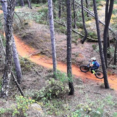 MTB Nr. 51 – Zwischen Ocker, Weinreben und Wald