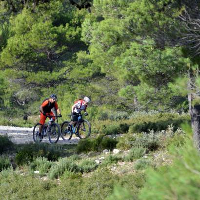 Mountainbikeroute n°36 - Peyre Plate