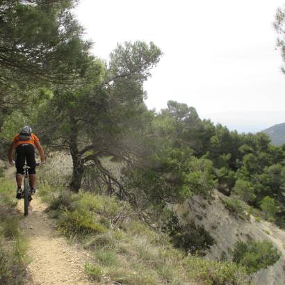 MTB Nr. 31 - Vom Étang de La Bonde zum Sentier Géole