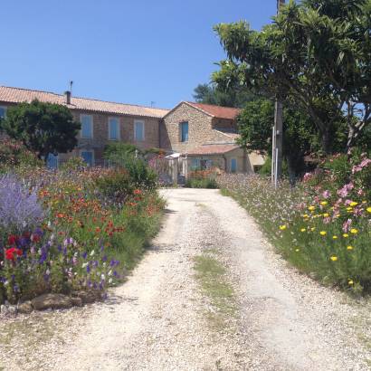 La Maison de Mamou