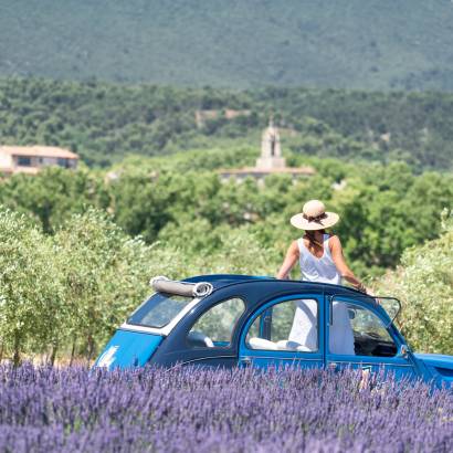 The lavender experience, immersion with the farmer with Oh my Deuche