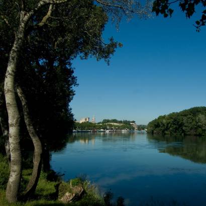 L'Île de la Barthelasse-balade à vélo-4