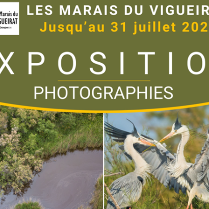 Exposition photographique Les Marais du Vigueirat