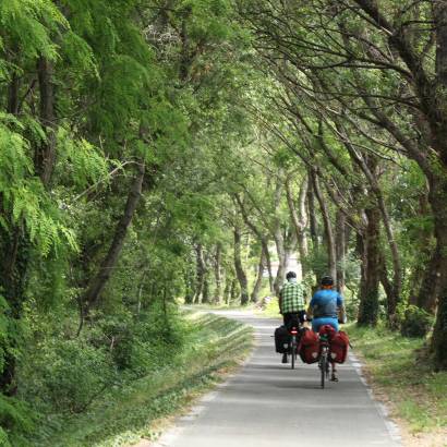 7 - From Orange to Caderousse - from Roman city to the Green Island of the Rhône- N°7