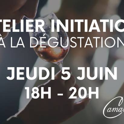 Initiation à la Dégustation - Domaine de la Camarette Initiation à la Dégustation - Domaine de la Camarette