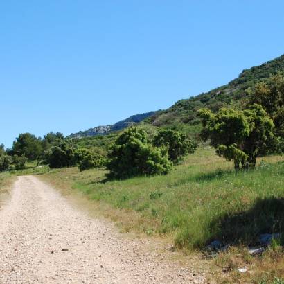 LES TAILLADES - Colline de Pied Caud LES TAILLADES - Colline de Pied Caud
