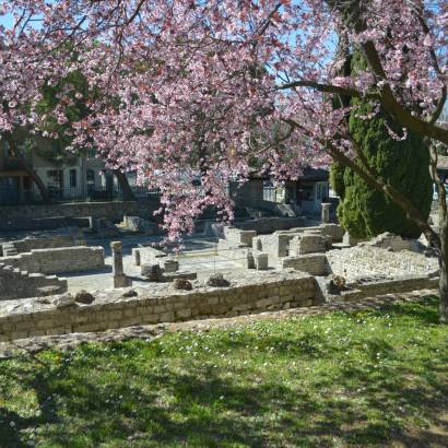 Guided tours of the ancient site of Puymin Guided tours of the ancient site of Puymin