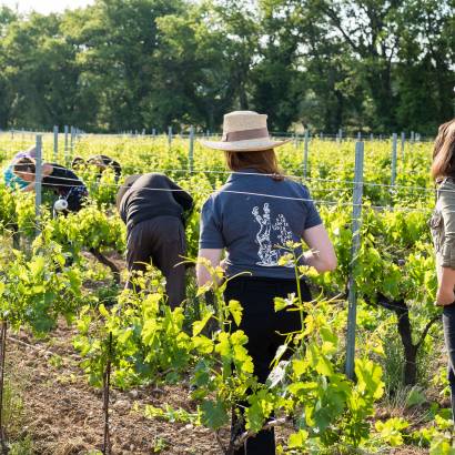Winemaker Path Winemaker Path