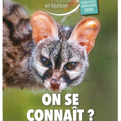 Rendez-vous nature : A l'écoute du brâme du cerf Rendez-vous nature : A l'écoute du brâme du cerf