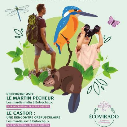 Les orchidées sauvages - sortie naturaliste en famille avec Ecovirado Les orchidées sauvages - sortie naturaliste en famille avec Ecovirado