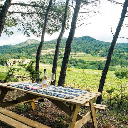 Picnic area at Clos de Caveau Picnic area at Clos de Caveau