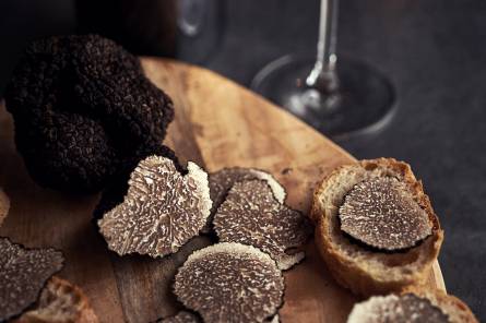 Le secret de la truffe et du vin à Montine