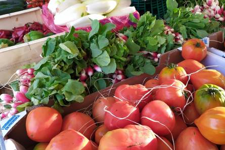 Marché de Châteauneuf du Pape