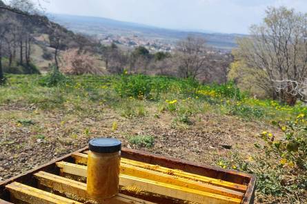 Visit Château Cohola and learn about polyculture