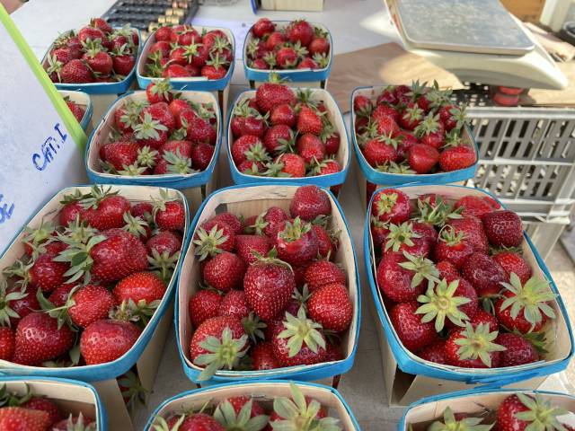 Marché du soir des Producteurs de Chateauneuf de Gadagne ©Isle sur la Sorgue Tourisme