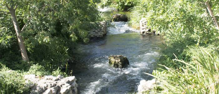 L Le De L Oiselay Sorgues Patrimoines Naturels Provence Guide