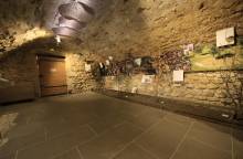Museum für Trüffel und Wein