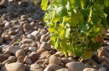 Caveau Saint Jean