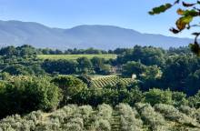 Moulin à Huile & Domaine Bastide du Laval