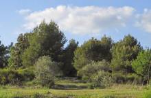 Camping à la Ferme Roumavagi