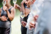 Marrenon, Vignobles en Luberon et Ventoux