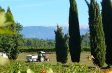 Château Unang