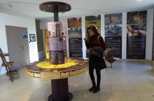 Ventoux Truffle museum