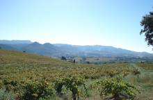 32 - The landscapes of the Côtes du Rhône