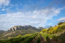 Domaine de Fenouillet