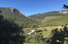 Domaine de Cassan