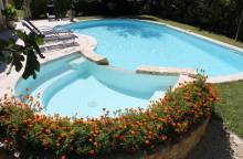 Une Treille en Provence