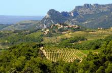 Secrets de vin au coeur des Dentelles de Montmirail