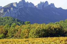 Château Redortier