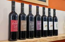 Weingut Domaine de la Camarette