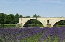 Pont d'Avignon (Saint-Bénezet)